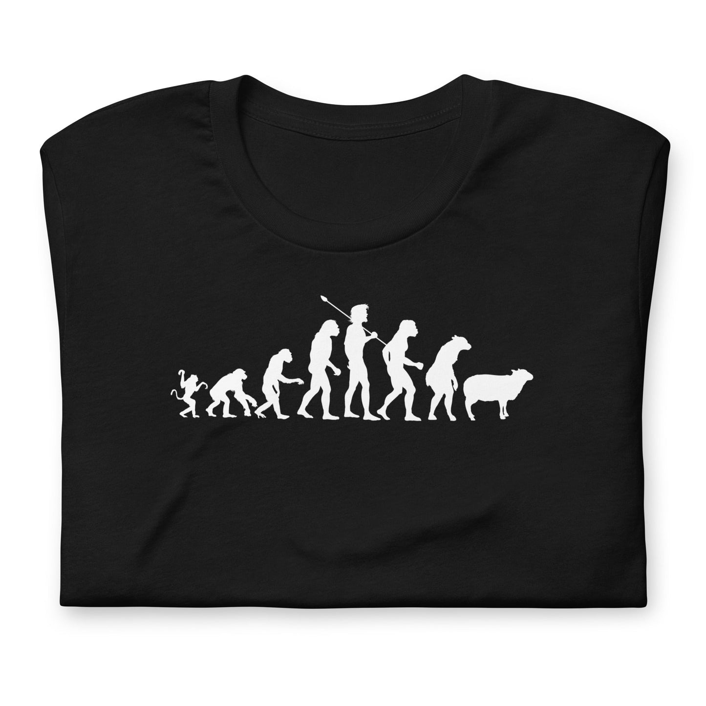 Evolution of Modern Man