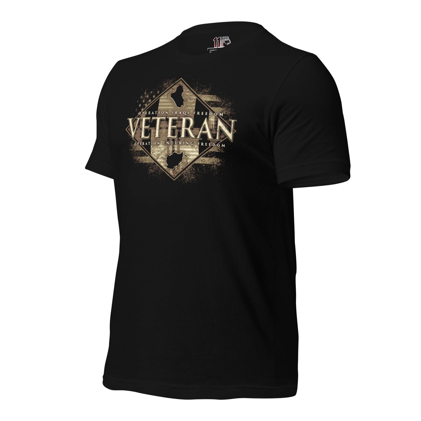 OIF and OEF Veterans
