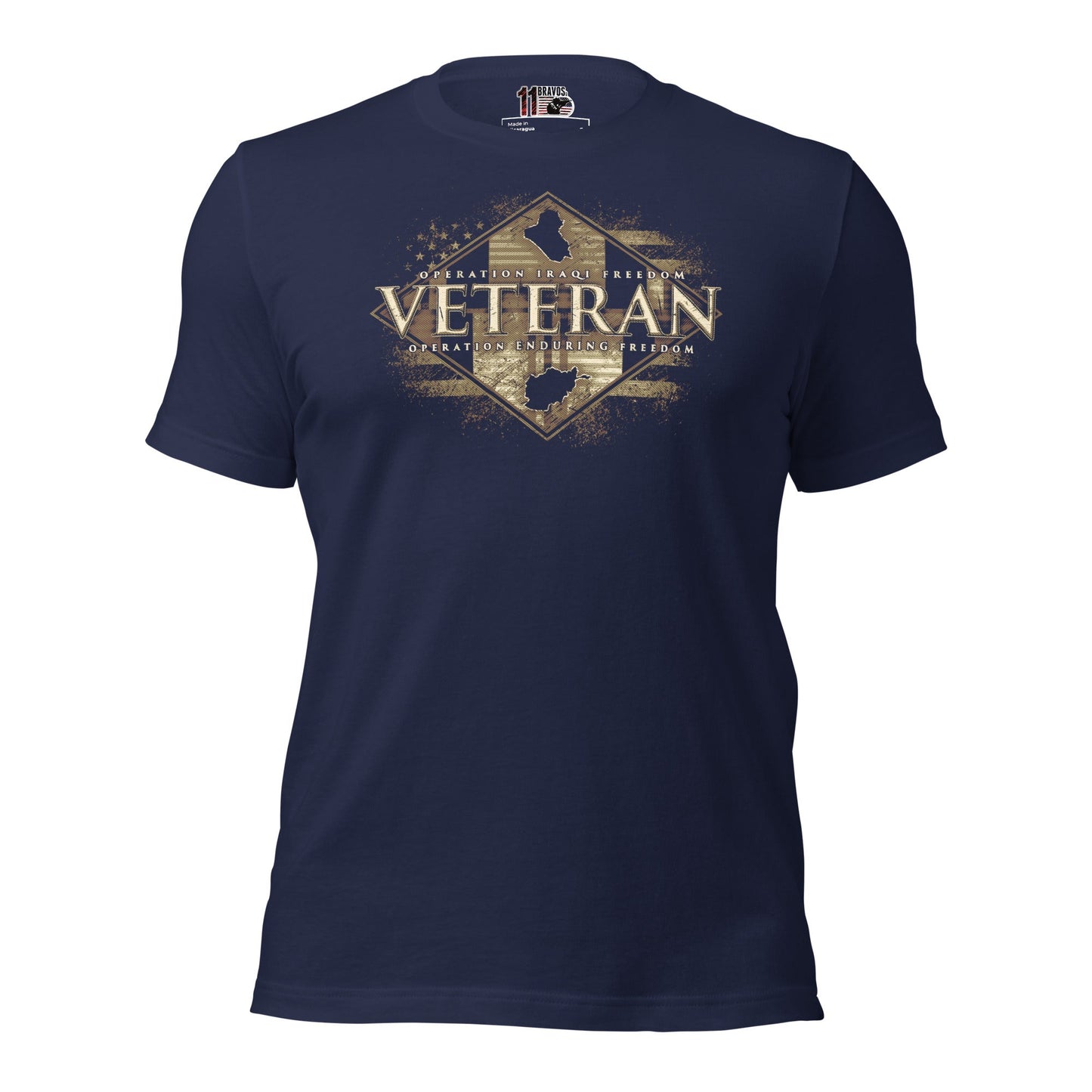 OIF and OEF Veterans
