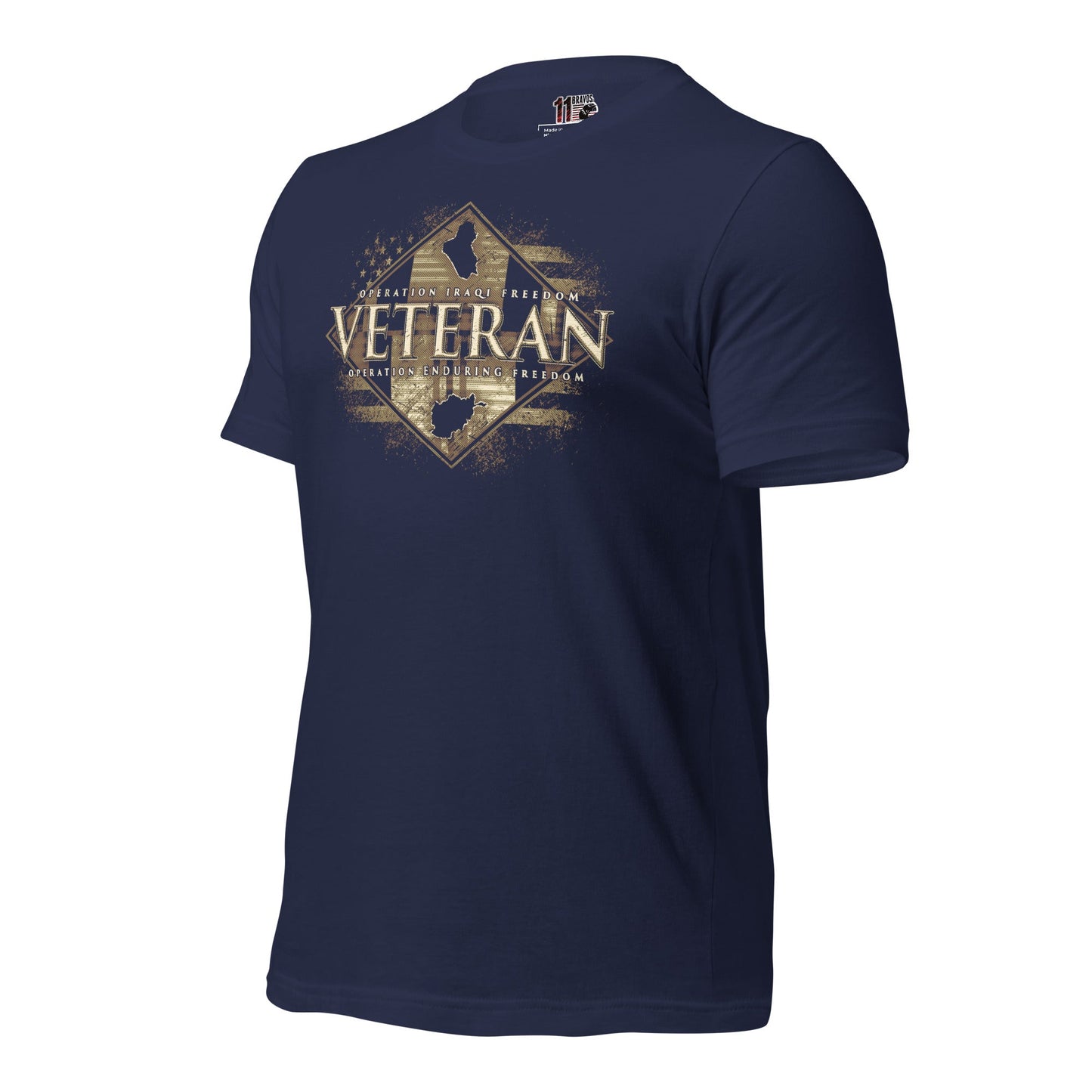 OIF and OEF Veterans