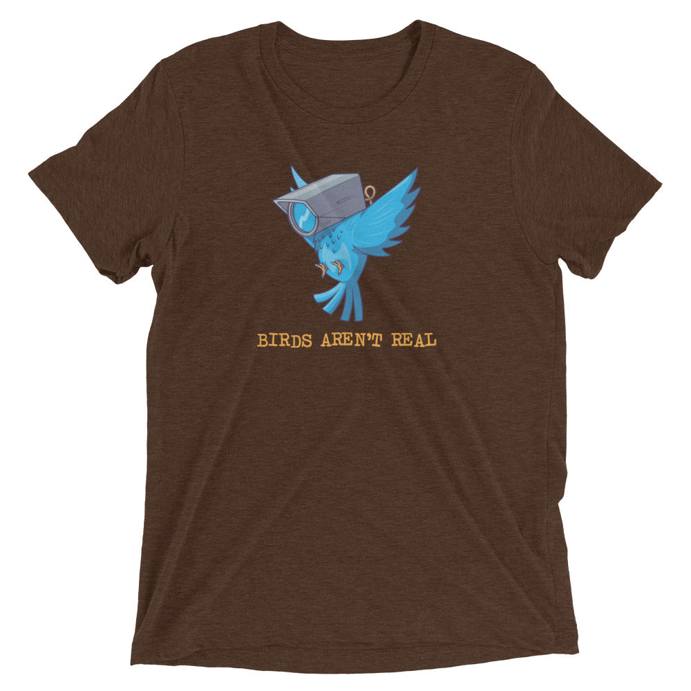 Birds Aren't Real Tri-Blend T-Shirt