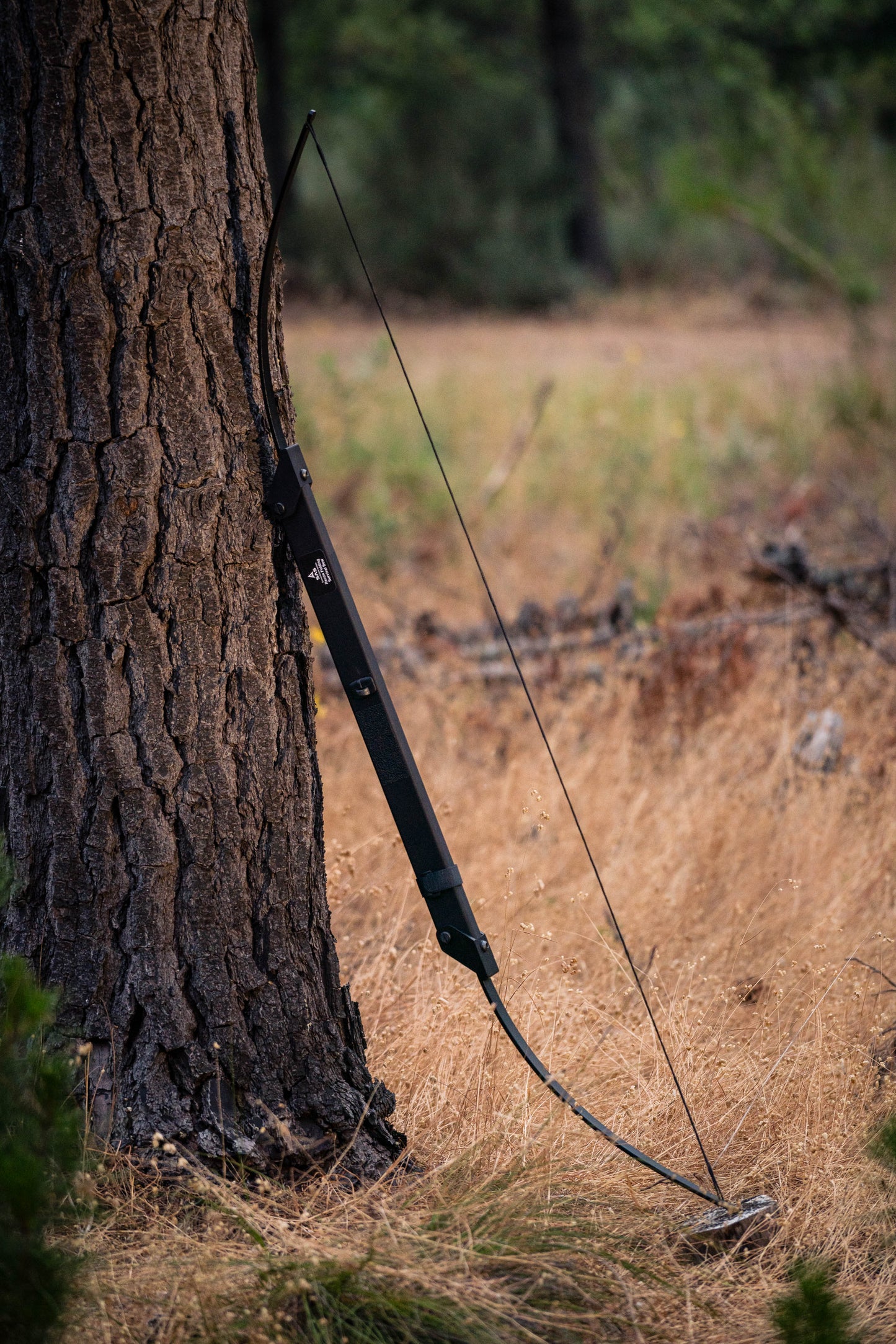 New Year Deal: Recon Folding Survival Bow