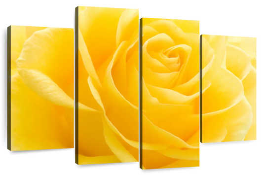 Yellow Rose Petals Wall Art