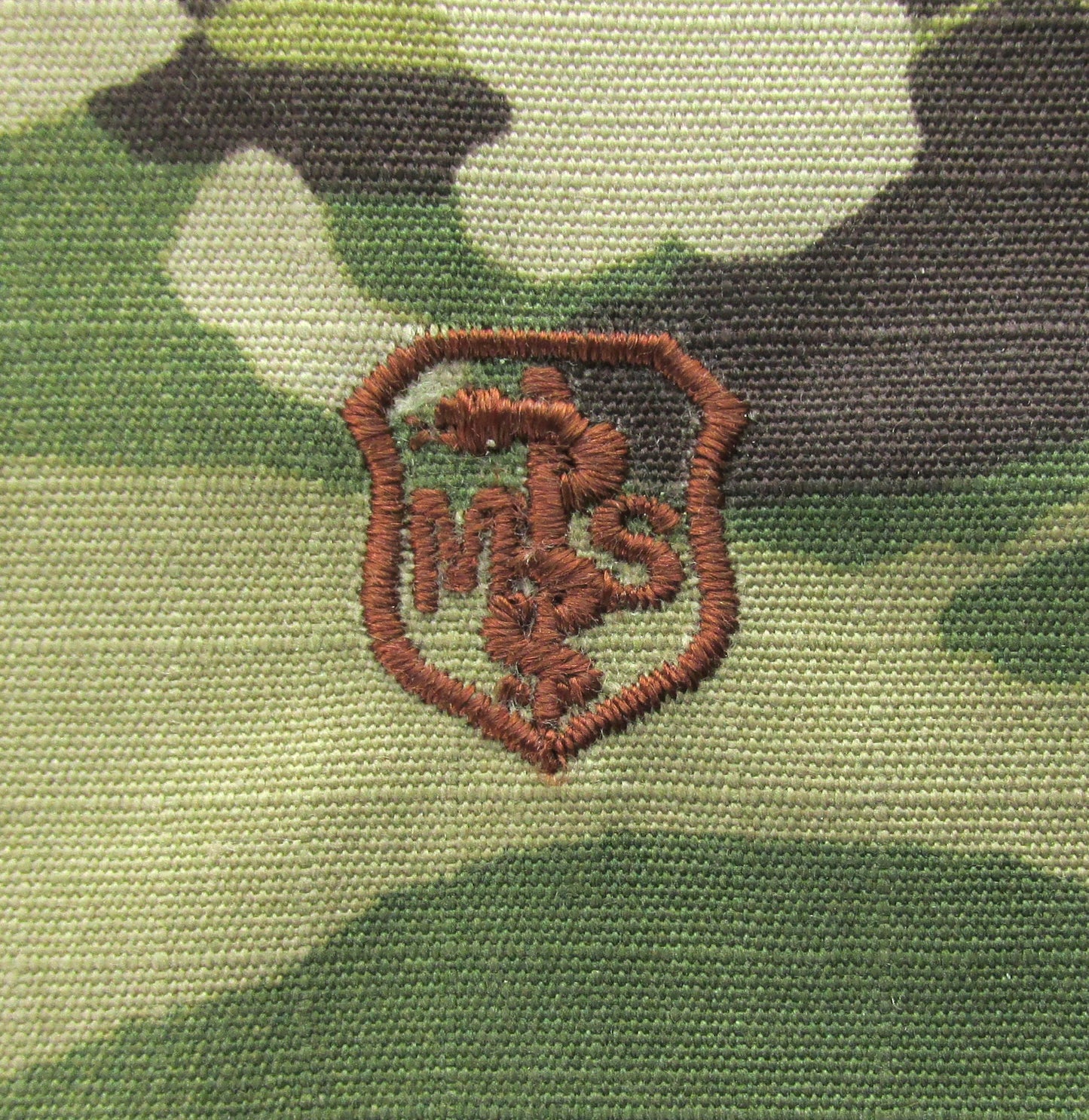 Medical Services Badge OCP - Air Force Occupational Badge