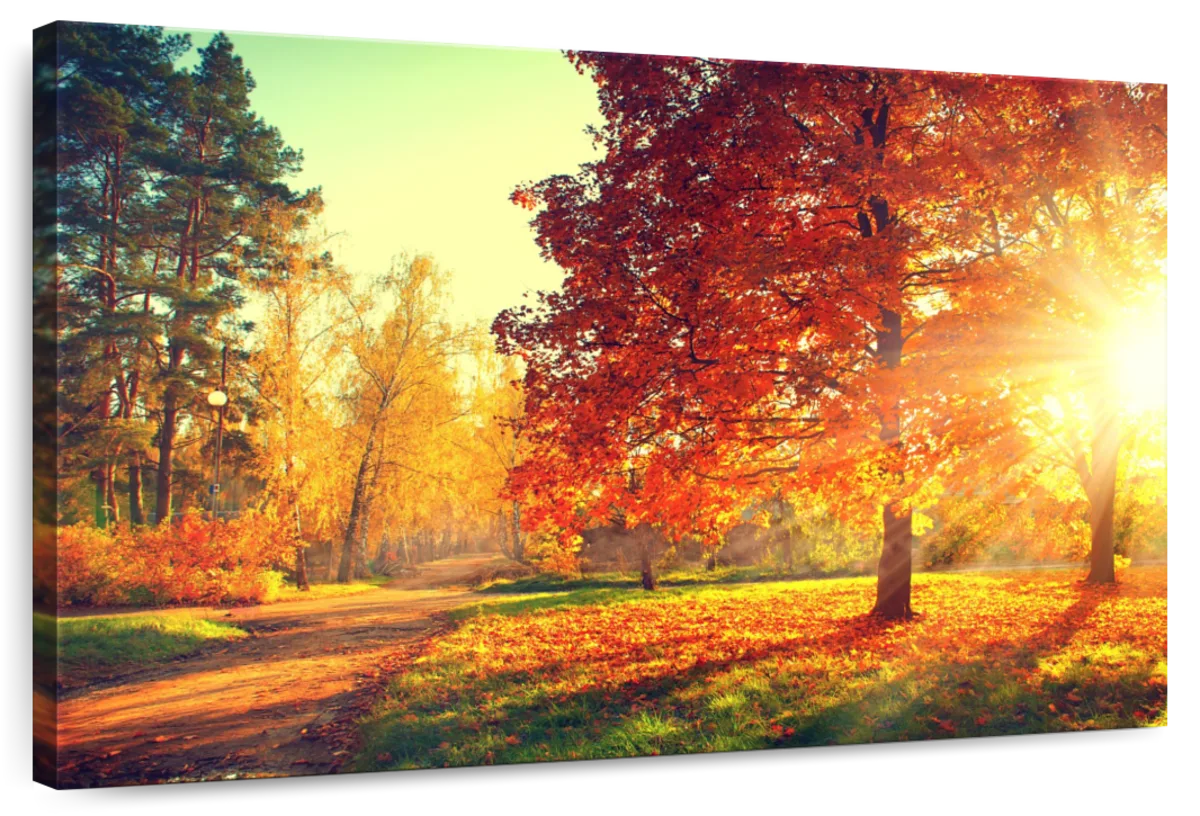 Autumn Sunset Wall Art