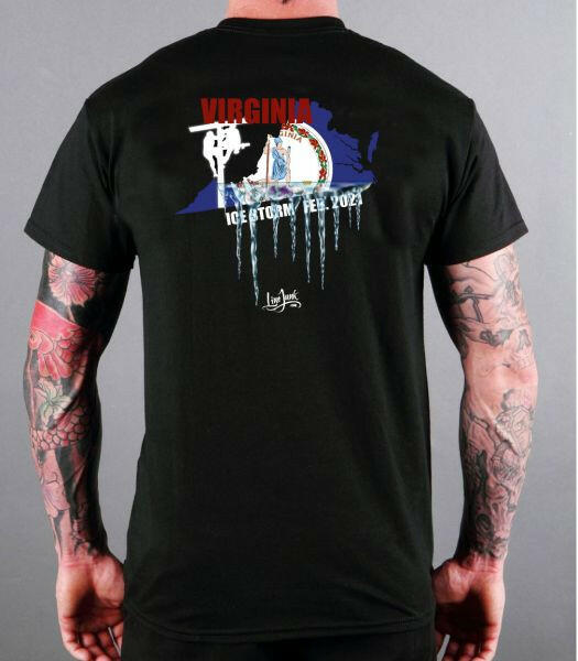 Virginia Ice Storm 012