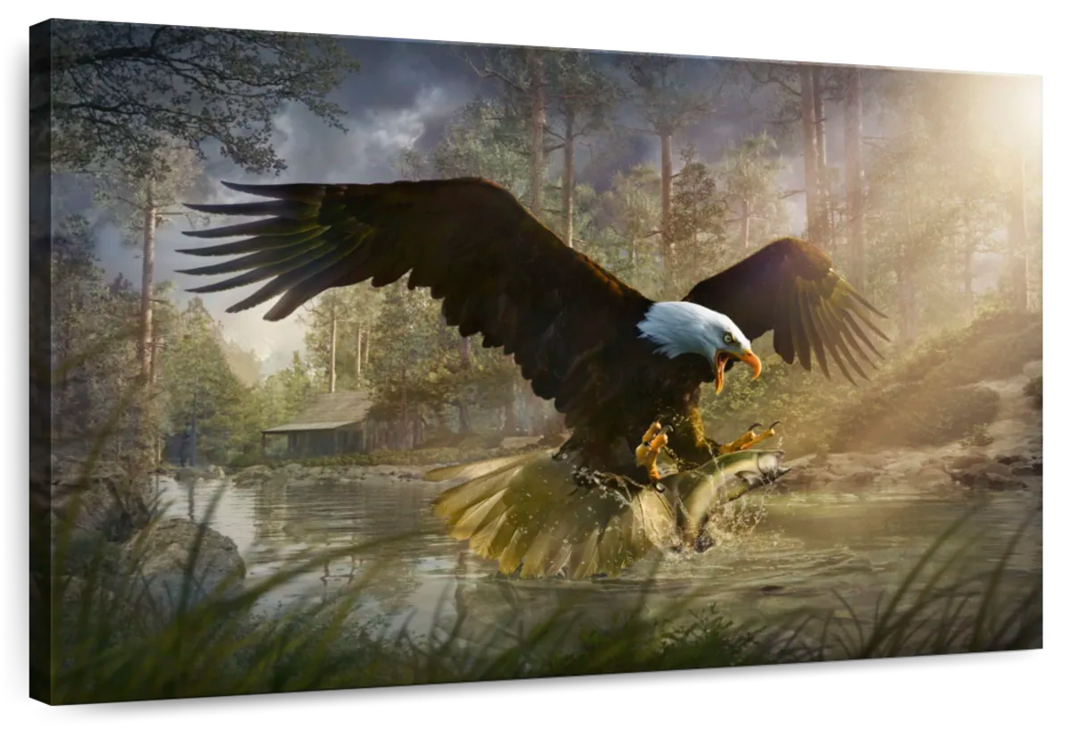 Bald Eagle Catching Fish Wall Art