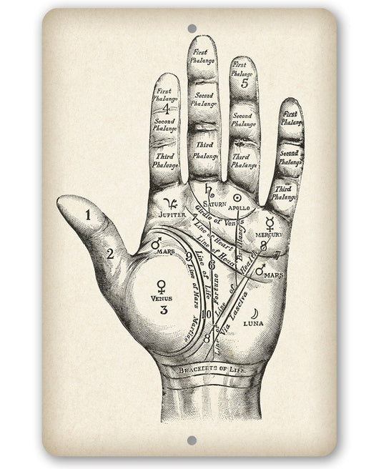Vintage Palm Reading - Metal Sign