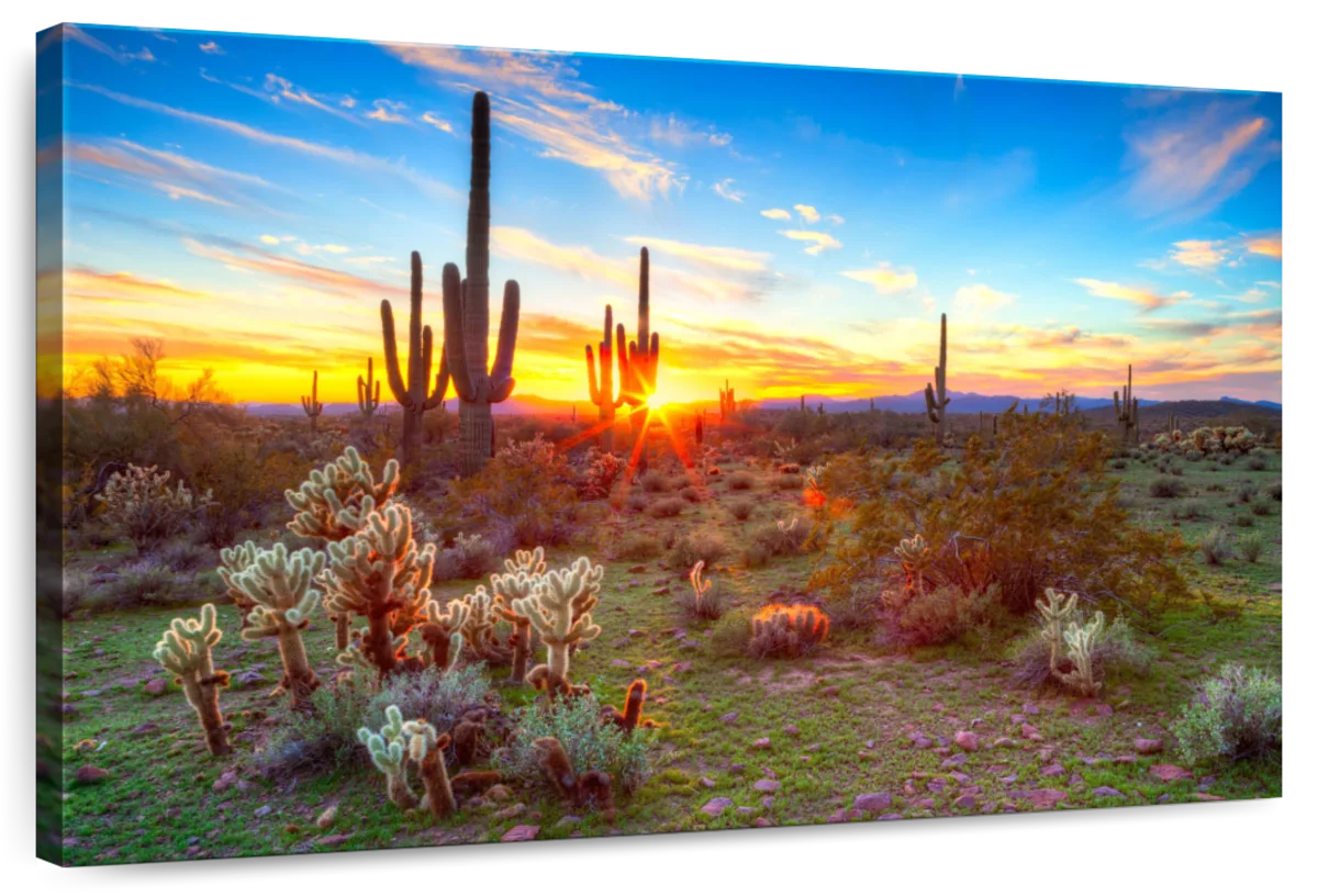 Sonoran Desert Sunset Landscape Wall Art