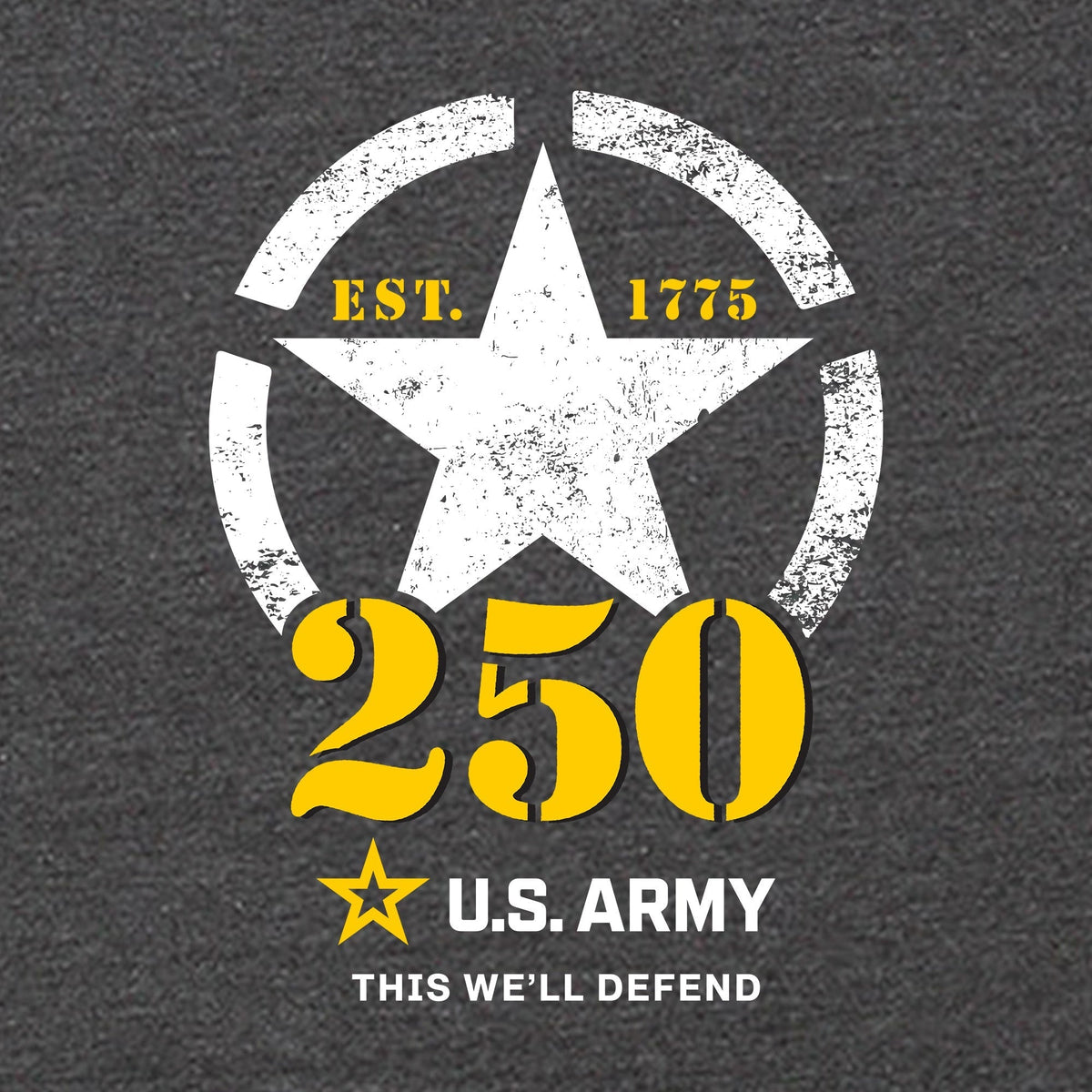 Army 250th Anniversary Ladies Hood (Washed Black)