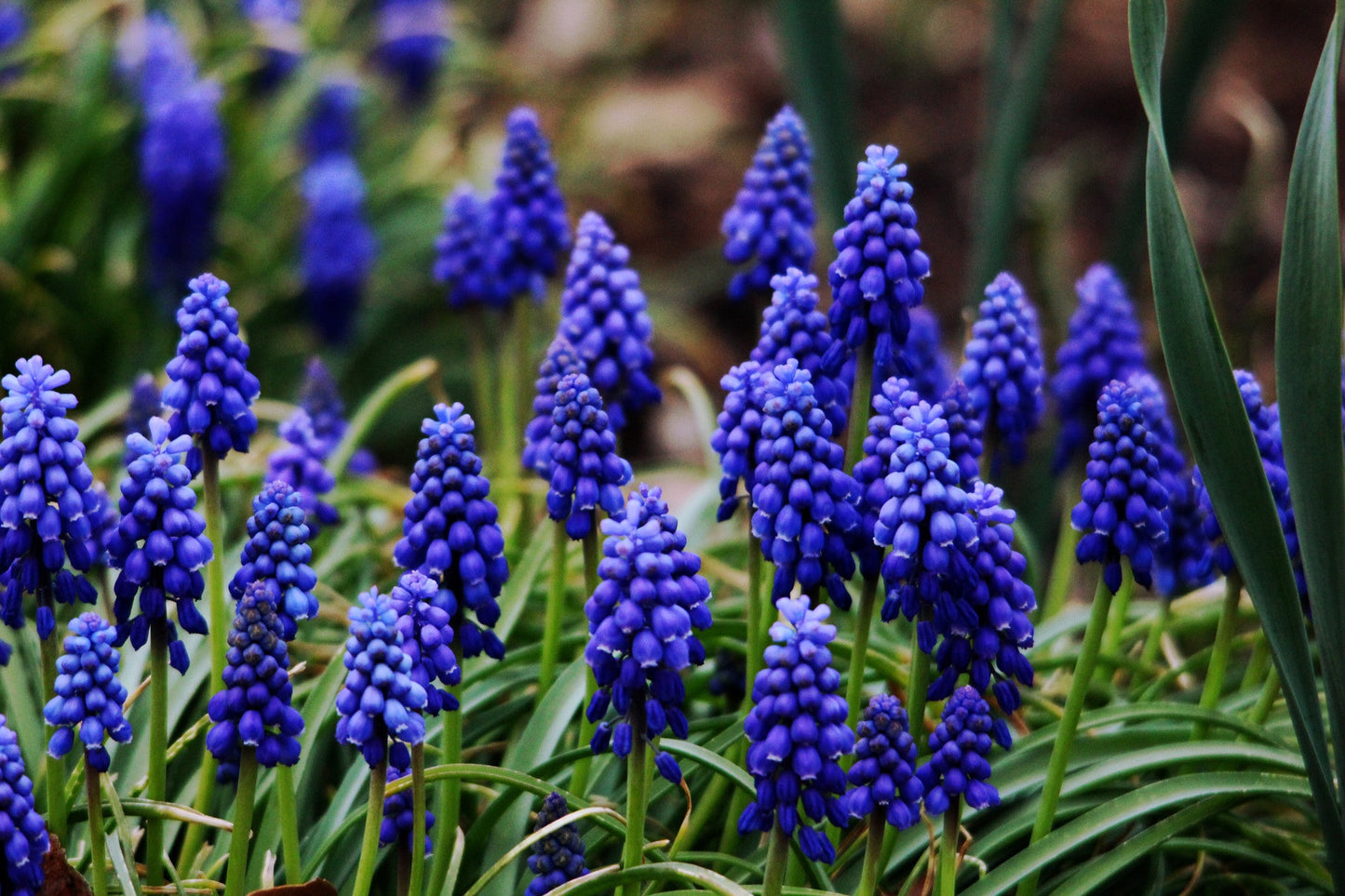 Capture Arkansas IV: The best of Arkansas in Photography