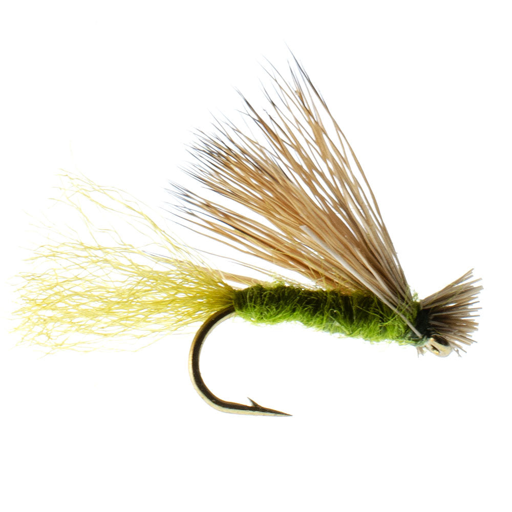 3 Pack Barbless Olive X Caddis Emerging Caddis Adult Fly - Hook Size 18