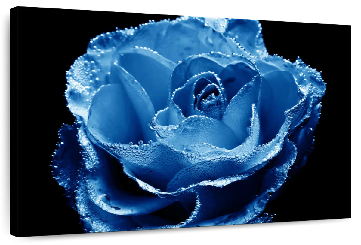 Misty Blue Rose Wall Art