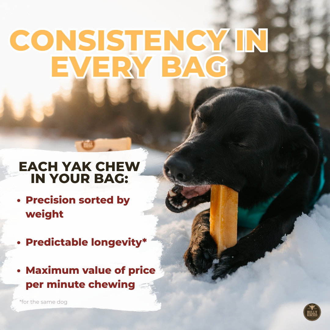 Strawberry Himalayan Yak Chew (MEDIUM)