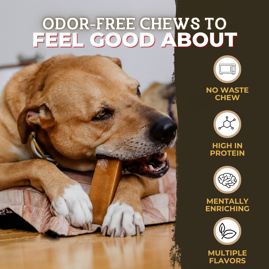 Himalayan Yak Chew (SMALL)