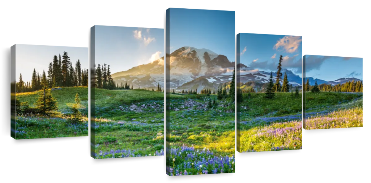 Springtime At Mount Rainier Wall Art