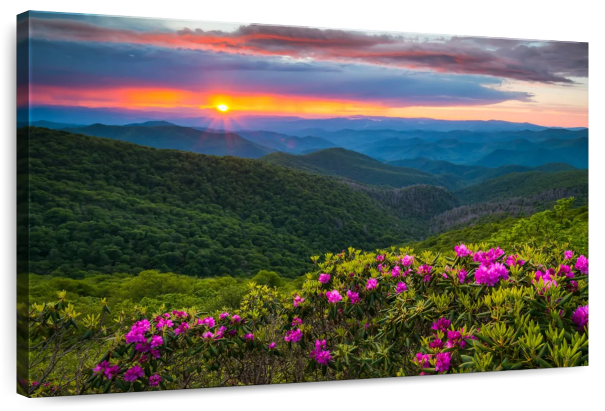 Blue Ridge Flowers Wall Art
