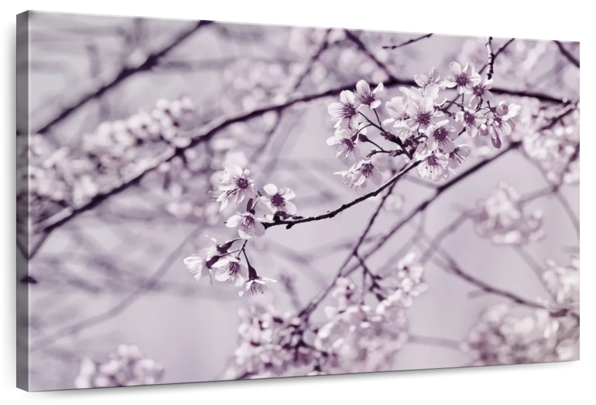 Pastel Sakura Wall Art