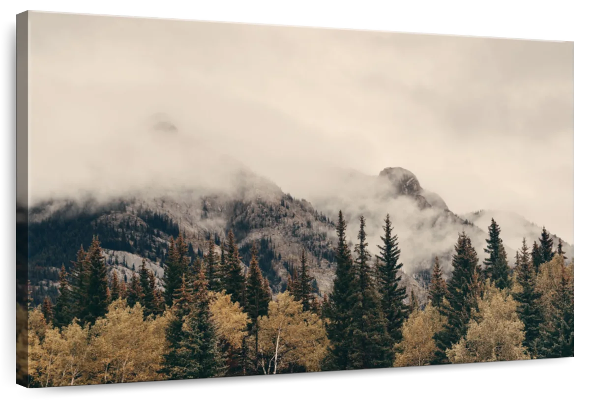 Foggy Banff National Park Wall Art